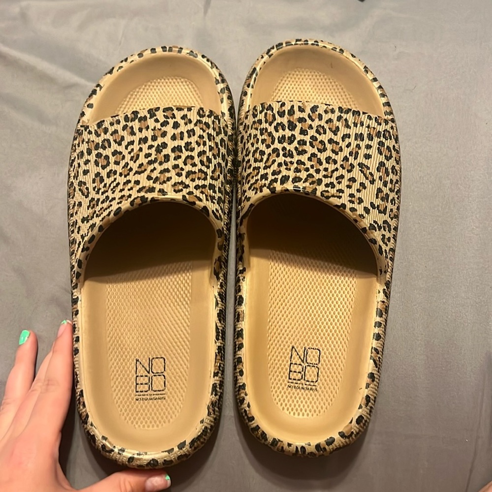 cheetah slides